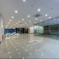 Siêu Phẩm Cho Thuê Nhà Mặt Phố Trịnh Văn Bô 300M2 X6Tầng+ 1Hầm, Thang Máy Pccc Đầy Đủ Tiện Ích, Mmh