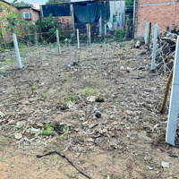Đất An Tây Tp Bến Cát Bd - Giá Siêu Rẻ 740 Triệu Dt: 5X15.5M Thổ Cư 50M - Có 4 Lô Liền Kề