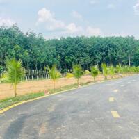 Bán Đất ở Hiệp An Tp Mới Bình Dương, đường nhựa 2 ôtô tránh nhau thoải mái. Giá 1tỷ300