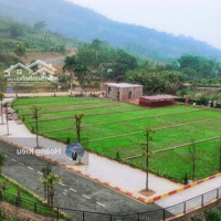Cơ Hội Có 1-0-2:Duy Nhất 01 Suất Ngoại Giao Bán Trong 7 Ngàydiện Tích180,6M2, Mt10M View Hồ. Giá Bán 2,7 Tỷ.
