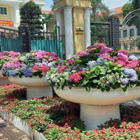 Chính Chủ Bán Nhà Mặt Phố Số 120 Nguyễn Hy Quang, Môi Giới Đừng Gọi Phí Công