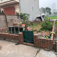 Cần Bán Lô Đất Siêu Đẹp 49.7M2 Tại Thôn Phúc Thọ - Xã Mai Lâm. Gần Vin Cổ Loa