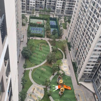 Bán Cc 1 Phòng Ngủ 1 Vệ Sinh43M2 S209 Tại Vinhomes Ocean Park 1, Giá Bán 2,26 Tỷ, 46M2, Chính Chủ Hot!