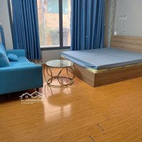 Căn Hộ 1 Phòng Ngủ Tách Bếp Full Nội Thất Giá Chỉ 11. 5 Triệu Ngay Lê Thánh Tôn, Quận 1