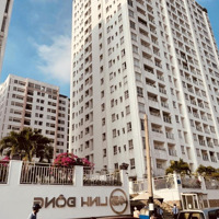 Giá Không Thể Tốt Hơn Anh Chị Đang Tìm Mua Đất Thời Điểm Này Thì Nên Cân Nhắc