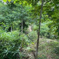 Khẳng Định Không Còn Lô Thứ 2 - View Hồ - Yên Hoà Đà Bắc Hoà Bình