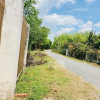 Bán Đất Tại Thành Long, Châu Thành, Tây Ninh, Giá Tốt Để Đầu Tư , 793.6M2, Mặt Tiền 10M, Ngõ 5M
