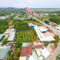 Bán Lô Đất Thổ Cư 8X24 Xã Bình Hòa, Giáp Bửu Long, Phù Hợp Xây Biệt Thự, Nhà Phố!