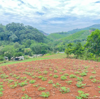 Bán 3336M2 Sẵn 400M Thổ Cư Đất View Thung Lũng Ruộng Bậc Thang Siêu Đẹp, Cao Phong Hoà Bình, 1,Xtỷ