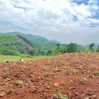 Bán 3336M2 Sẵn 400M Thổ Cư Đất View Thung Lũng Ruộng Bậc Thang Siêu Đẹp, Cao Phong Hoà Bình, 1,Xtỷ