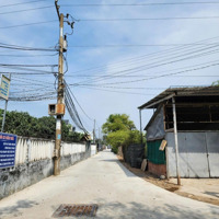 Cần Bán Đất Nền Gần Thcs Trương Văn Bang, Tân Kim, Cần Giuộc, Long Andiện Tích95M2 Giá Bán 590 Triệu