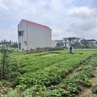Siêu Hót Cần Bán 3 Lô Đất Đấu Giá Liền Kề, Tại Chí Minh, Tứ Kỳ, Hải Dương