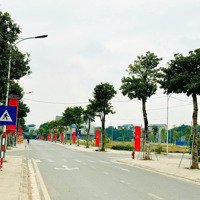 Bán Đất Nền Dự Án Tại Khu Đô Thị Cầu Trúc Sông Công, 1,8 Tỷ, 103 M2, Hot!