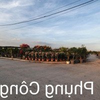Thanh Khoản Nhanh Đất Dịch Vụ Liền Kề Phụng Công - Văn Giang