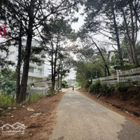 Bán Lô Đất Mặt Tiền Trịnh Hoài Đức Đà Lạtdiện Tích1488M2 View Thông Và Thung Lũng Đèn