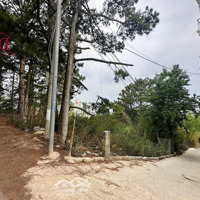 Bán Lô Đất Mặt Tiền Trịnh Hoài Đức Đà Lạtdiện Tích1488M2 View Thông Và Thung Lũng Đèn