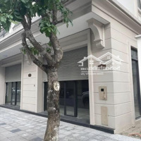 Quỹ Căn Liền Kề San Hô Vin 2 Giá Tốt Chỉ Từ 10 Tỷ