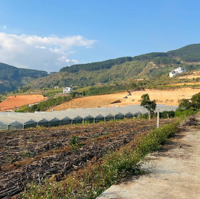 Bán 150M2 Đất Đông Thanh Chỉ 430 Triệu, Cách Đường Nhựa 500M