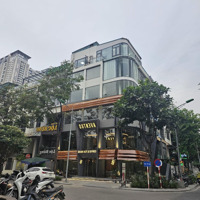 Siêu Hot Mặt Bằng 90M - 6 Tầngmặt Tiền6M Phố Nguyễn Tuân Thang Máy Thông Sàn Giá Tốt.mọi Mô Hình Kd