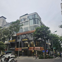 Siêu Hot Mặt Bằng 90M - 6 Tầngmặt Tiền6M Phố Nguyễn Tuân Thang Máy Thông Sàn Giá Tốt.mọi Mô Hình Kd