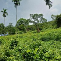 Bán 11000M2 Đất Sổ Riêng Tại Liên Sơn Lương Sơn Hoà Bình