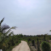Cơ Hội Làm Nhà Vườn, Nghỉ Dưỡng Tại Vị Trí Vàng
