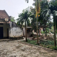 Đất Nghỉ Dưỡng Tại Thuần Mỹ, Ba Vì, Hà Nội Giá Chỉ 1, 1 Triệu/M2, View Sông Đà Thoáng, Cách Mỹ Đình 60Km