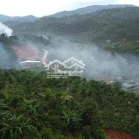 Bán Đất Mặt Tiền Ql 55, Xã Lộc Nam, Huyện Bảo Lâm, Tỉnh Lâm Đồng