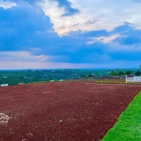 Mua Ngay Kẻo Hết Đất Chính Chủ View Đồi Chè Chỉ 39 Nền Duy Nhất Giá Cực Mềm