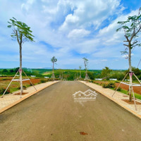 Mua Ngay Kẻo Hết Đất Chính Chủ View Đồi Chè Chỉ 39 Nền Duy Nhất Giá Cực Mềm