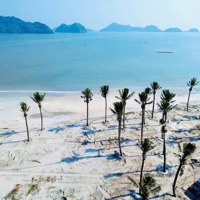 Bán Căn Hộ Nghỉ Dưỡng Cao Cấp Dự Án Sun Cát Bà Vốn Đầu Tư Chỉ Từ 700 Triệu, Ls 0% Trong 30 Tháng