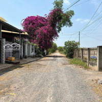 Hàng Thơm 1Sec Hùng Vương Và Đường 25C Giá Ngợp