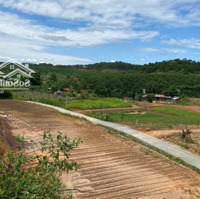 Bán Đất Ninh Loan, Đức Trọng, Lâm Đồng, 6 Tỷ, 2723 M2, Giá Thanh Lý Của Ngân Hàng
