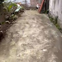 Bán 2 Lô Đất Hướng Đông Nam Gần Đường Chính Tại Đồng Hòa, Kiến An