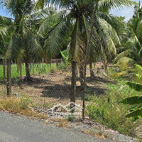 Bán Đất 178M2/ 780 Triệu Tại Đường Thích Thiện Hòa, Xã Lê Minh Xuân, Bình Chánh. Pháp Lí Đầy Đủ.