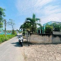 Bán Đất Đẹp Tại Đường Nguyễn Văn Tuôi, Xã Long Hòa, Cần Đước, Long An, 755 Triệu/300M2