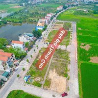 Đất Đấu Giá Thanh Cao, Chưa Tới 5,2 Tỷ, Rẻ Nhất Cả Khu, Mặt Trục Chính Vào Làng, Kinh Doanh Tốt