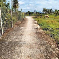 Bán Gấp Đất Tại Xóm Đình, 130M2, 850 Triệu, Tân An, Long An, Uy Tín.