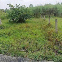 Bán Gấp Đất Tại Xóm Đình, 130M2, 850 Triệu, Tân An, Long An, Uy Tín.