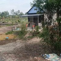 Bán Đất Chính Chủ Xã Tân Bình, Tân Thạnh, Long An. 3100M2 (43X70) Giá Hết Đất 900 Tr Bớt Lộc