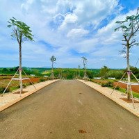 Cơ Hội Vàng - Sở Hữu Đất Đẹp Chỉ Với 286 Triệu