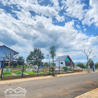Đầu Tư Siêu Lời 156M² Đất Sát Quốc Lộ 20, Di Linh Chỉ Với 286 Triệu, Sổ Sẵn Mua Chỉ Có Lời!