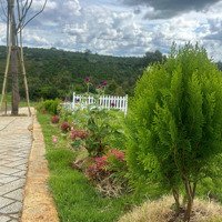 Đất Nghỉ Dưỡng Di Linh Không Khí Mát Lành, Trả Trước Chỉ 300 Triệu Nhận Ưu Đãi Siêu Cấp Vip Pro
