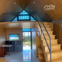 Đất Nghỉ Dưỡng Di Linh Không Khí Mát Lành, Trả Trước Chỉ 300 Triệu Nhận Ưu Đãi Siêu Cấp Vip Pro