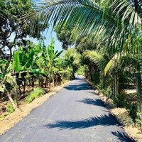 Bán Đất Tại Xã Diên Thọ, Diên Khánh, Khánh Hòa, 720 Vnd, 150M2