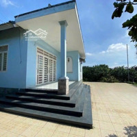 Bán Nhà Vườn Khu Làng Bưởi Tân Triều Mát Mẻ Quanh Năm