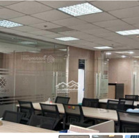 Tòa Nhàmặt Tiềnngay Nguyễn Văn Trỗi, Phú Nhuận. 10Mx26M - Hầm 8 Tầng - Hđt 500 Triệuiệu/Thang. Giá Bán 130 Tỷ