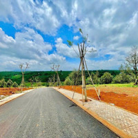 Không Thể Bỏ Lỡ. Đất Sátcho Thuêbảo Lộc - Liên Khương. 149M2 Giá Chỉ 268 Tr. Mua Là Lời