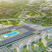 Giá Rẻ Nhất Thị Trường - Hướng Đông Nam- Căn 64M Có Má, Gần Trường Học, Chung Cư, Công Viên.
