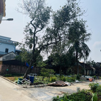 Bán Lô Góc 2Mt 119M2 Đồng Trúc Thạch Thất Hn.
- Cách Khu Đấu Giá Đồng Trúc 2Km